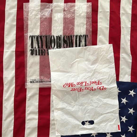 Taylor Swift and Katy Perry merch bags & Disneyland bag, & Cowboy Carter handtag - Picture 5 of 16